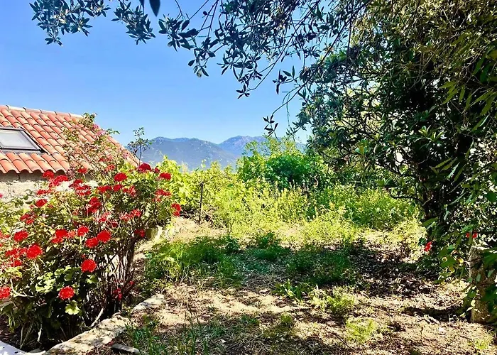 Vakantiehuis Charmante Maison Avec Vue Ideale Pour 4 Personnes *